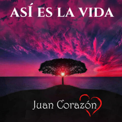 Así Es la Vida