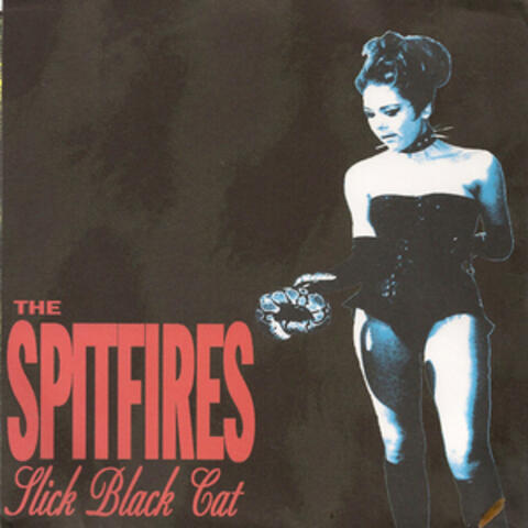 Slick Black Cat EP
