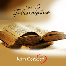 Los 6 Principios