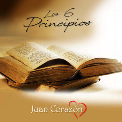 Los 6 Principios