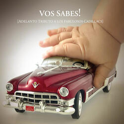 Vos sabés