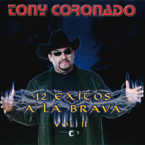 12 Exitos a la Brava, Vol. 2