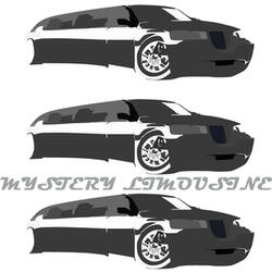Mystery Limousine
