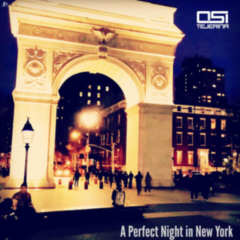 A Perfect Night in New York
