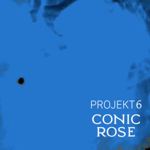 Projekt 6
