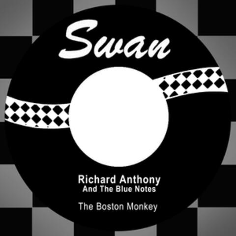 The Boston Monkey
