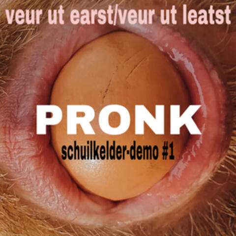 Veur ut earst veur ut leatst (schuilkelder demo #1)