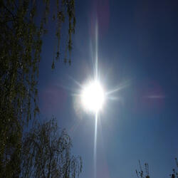 Lets Go into the Sunshine