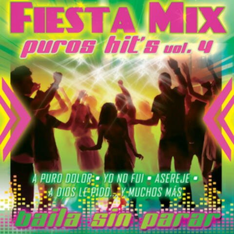 Fiesta Mix Vol. 4