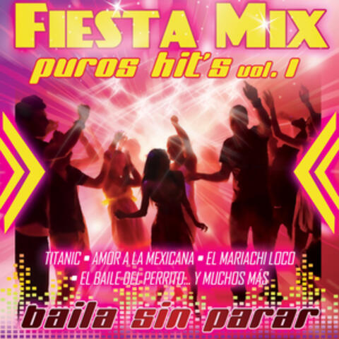 Fiesta Mix Vol. 1