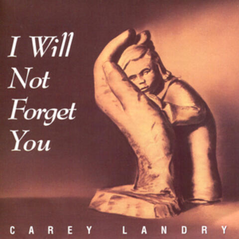 I Will Not Forget You