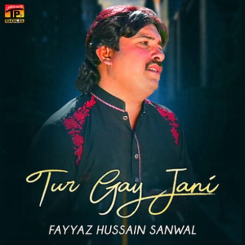 Tur Gay Jani - Single