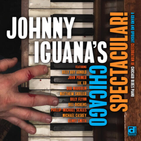 Johnny Iguana