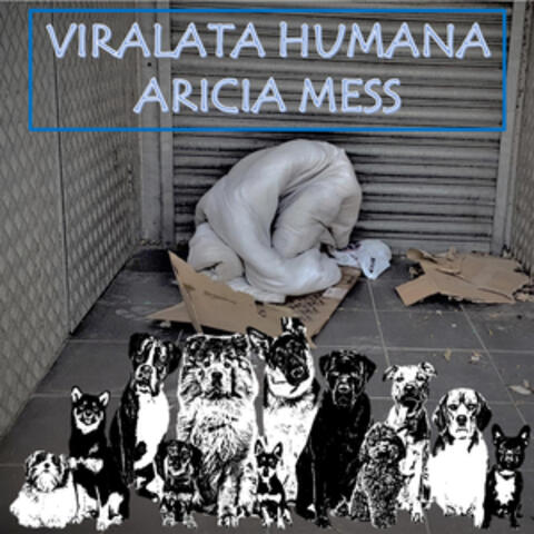 Viralata Humana