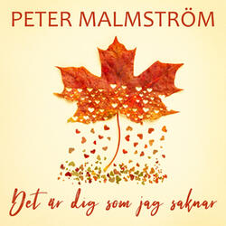 Det är dig som jag saknar