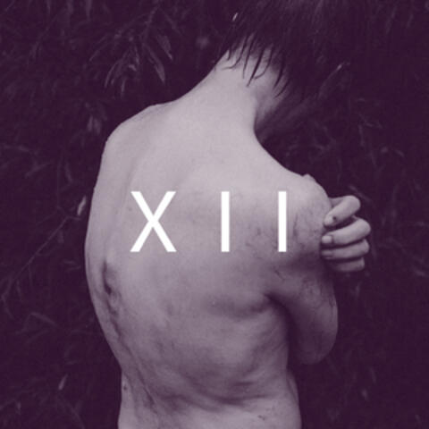 Akte XII