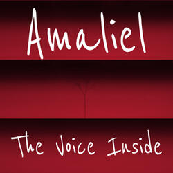 The Voice Inside