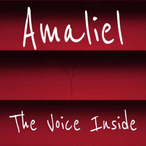 The Voice Inside
