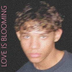 Love is Blooming