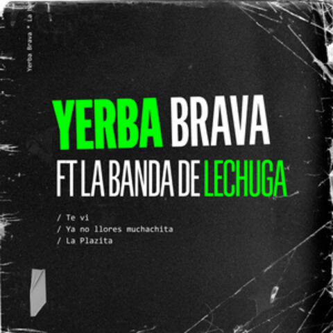 Te Vi / Ya No Llores Muchachita / La Plazita
