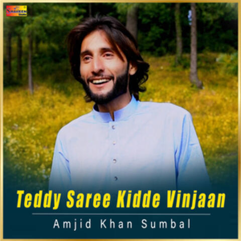 Teddy Saree Kidde Vinjaan - Single