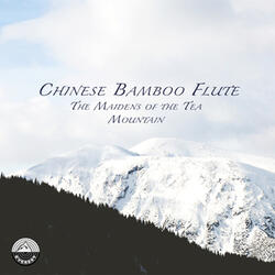 Capriccio for Chinese Flute