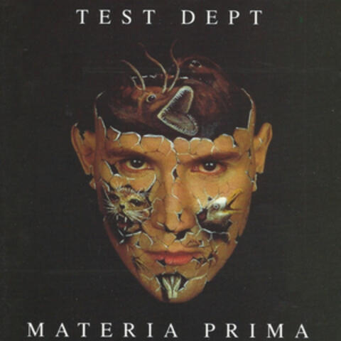 Materia Prima - Live