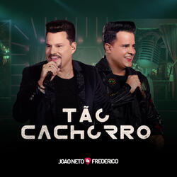 Tão Cachorro