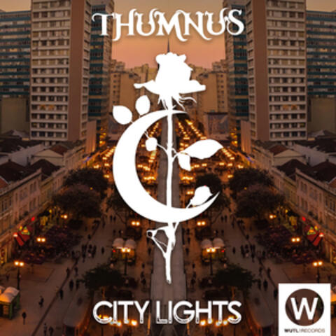 City Lights