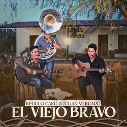 El Viejo Bravo