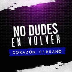 No Dudes en Volver