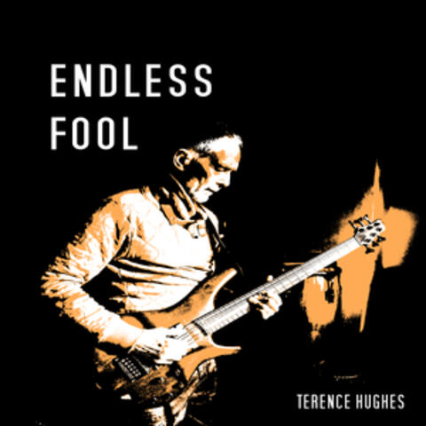 Endless Fool
