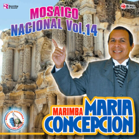 Mosaico Nacional Vol. 14. Música de Guatemala para los Latinos
