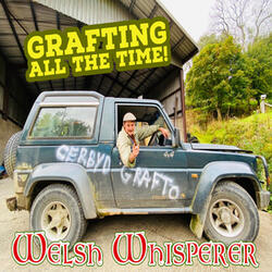 Grafting All the Time!