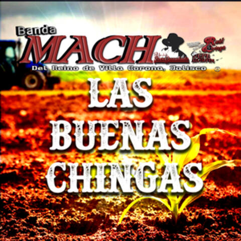 Las Buenas Chingas