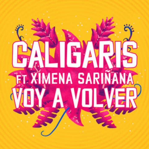 Voy a Volver