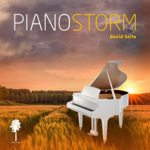 Piano Storm