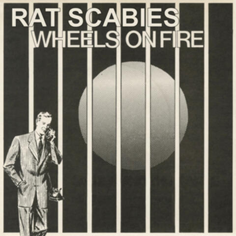 Rat Scabies
