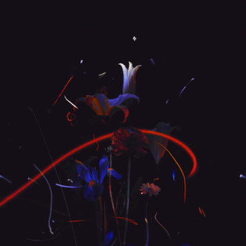 Vita Nova