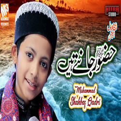 Huzoor Jante Hain
