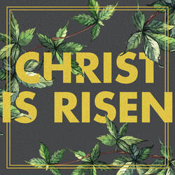 Rejoice