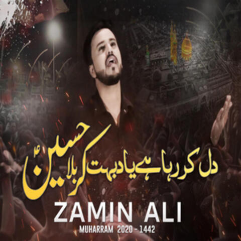 Karbala Hussain