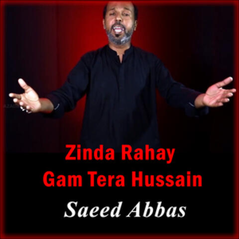 Zinda Rahay Gam Tera Hussain - Single