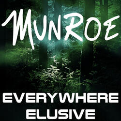 Everywhere Elusive