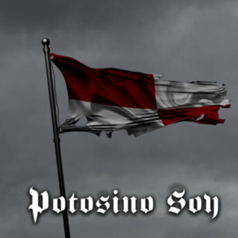 Potosino Soy