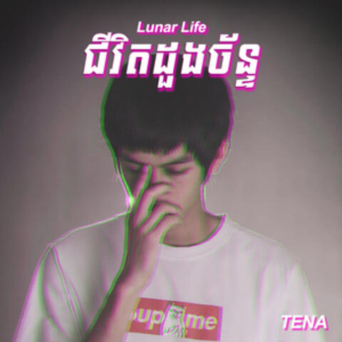 Lunar Life