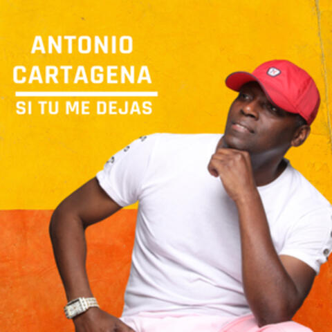 Si Tu Me Dejas