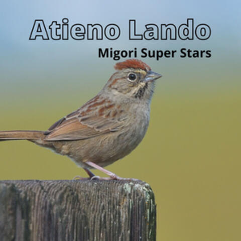 Atieno Lando