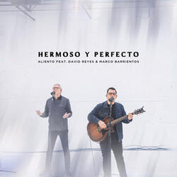 Hermoso y Perfecto