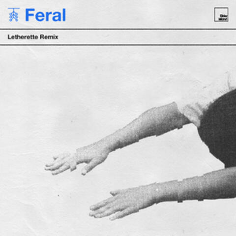 Feral